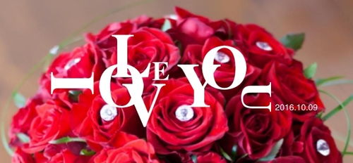 中英字體與圖形圖案的融合 現(xiàn)代廣告Banner的圖文設(shè)計(jì)藝術(shù)