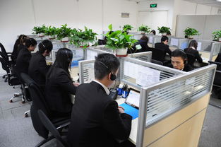 上海港茗投資管理 專業(yè)圖冊咨詢引領投資新視野